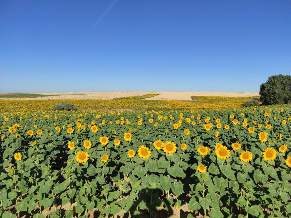Vinarius, Posada Rural Castellanos de Villiquera Zewnętrze zdjęcie
