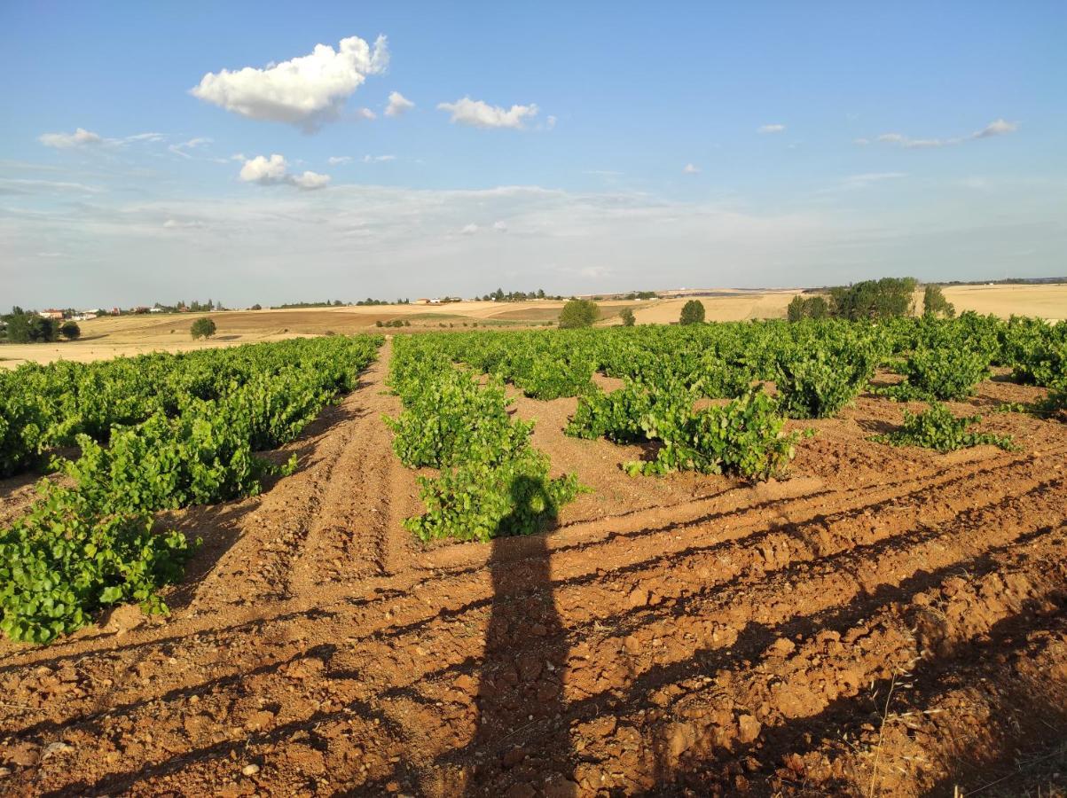 Vinarius, Posada Rural Castellanos de Villiquera Zewnętrze zdjęcie