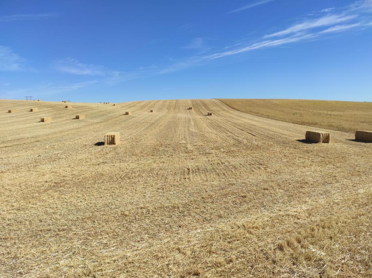 Vinarius, Posada Rural Castellanos de Villiquera Zewnętrze zdjęcie