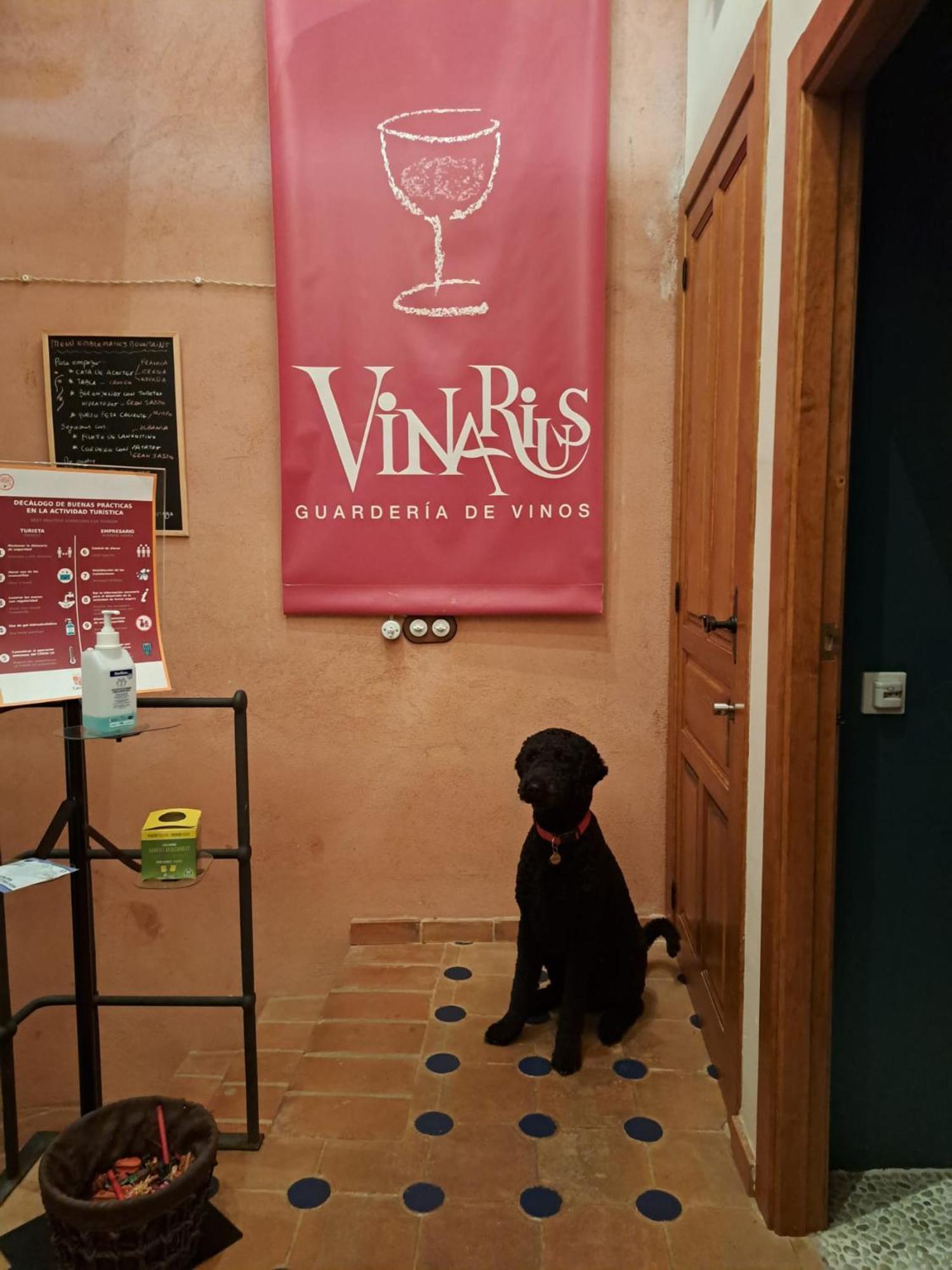 Vinarius, Posada Rural Castellanos de Villiquera Zewnętrze zdjęcie